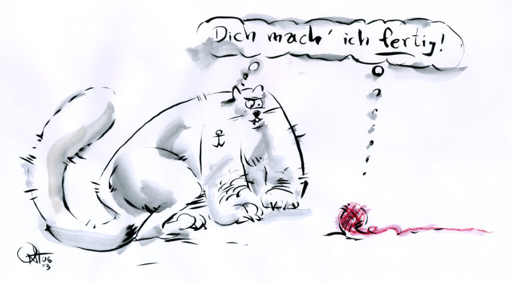 Katzen (1): Vor dem Kampf